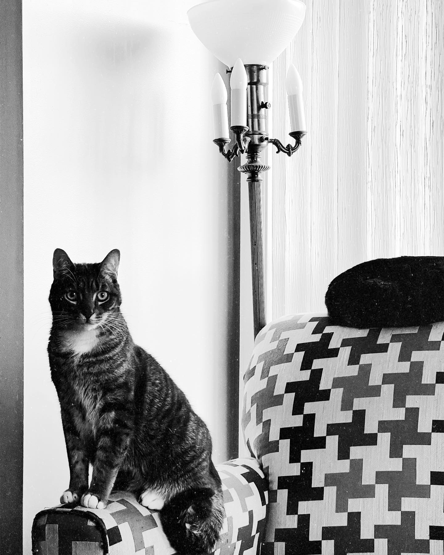 Omnis veniam quas deleniti